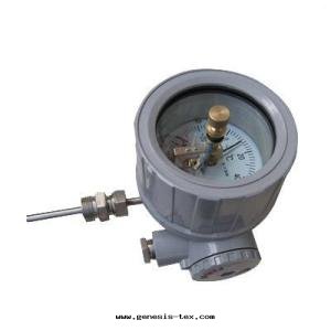 隔爆双(shuāng)金(jīn)屬温(wēn)度(dù)計(jì)